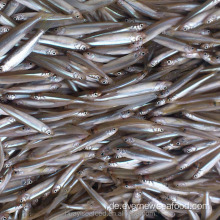 Süßwasserfisch gefroren ganzer Teich roch